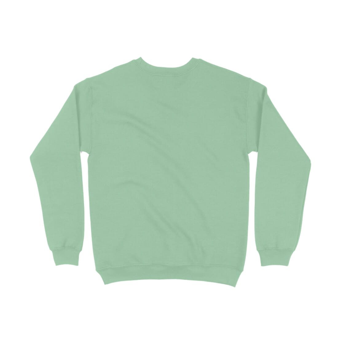 back-679b44de4f618-Mint_Green_XS_Sweatshirt.jpg