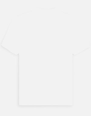 Back_3_c_4.jpg